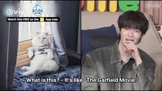 Ahn Jae Hyun Lives With His 10-year-old Cat Anju Who Behaves Like A Human?   I Live Alone