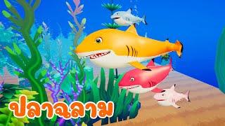 เพลง ปลาฉลาม - KidsMeSong Music Official