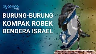 VIRAL LIHAT Burung-Burung Kompak Robek Bendera ISRAEL  INI BUKAN KEJADIAN PERTAMA #amerika