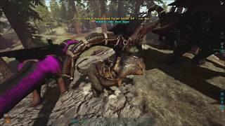 ARK Defense against Streamer official arkpvp