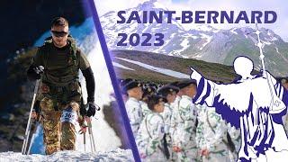 SAINT BERNARD 2023