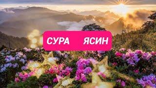 Сура Ясин от порчисглаза от всех проблем.Слушать утром и перед сном.Ysin