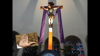 5º Domingo da Quaresma  - Missa na Igreja de São Gabriel - 17-03-2024