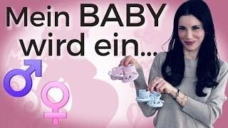 Gender Reveal Dieses Geschlecht hat mein Baby  Mein Kinderwunsch