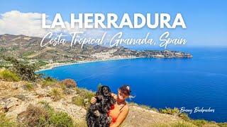 Things to Do in La Herradura Spain Costa Tropical