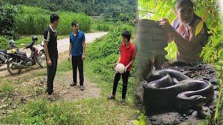 Discovered and chased by the police.    Ms. Huong escaped into the cave to meet a snake