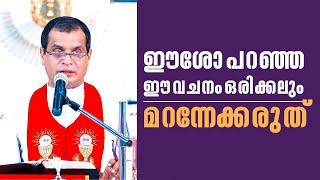 ഈശോ പറഞ്ഞ ഈ വചനം ഒരിക്കലും മറന്നേക്കരുത്   Parudeesa 484 Fr Dominic Valanmanal ShalomTV