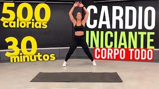 CARDIO for BEGINNERS  30MIN  Burn 500 Calories  Whole body