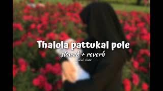 Thalola pattukal pole  slowed + reverb 