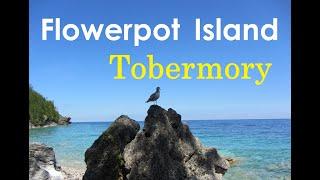 Flowerpot Island  Tobermory #tobermory
