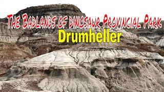 The Badlands of Dinosaur Provincial Park  Drumheller 1