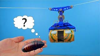 Made a real cable car for the Madagascar Cockroach Hes shocked