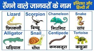 10 reptiles name in hindi and english with pictures  Reptiles names for kids  types of reptiles