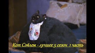 Кот Сэйлем - лучшие 5 сезон 1 часть Сабрина - маленькая ведьма