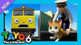 Tayo S6 EP14 Please Take Care of the Cat l Meow Catch me if you can l Tayo the Little Bus