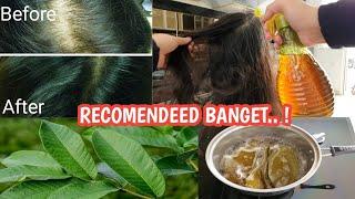 TERBUKTI  RAMBUT RONTOK HILANG RAMBUT TUMBUH MENGGILA DENGAN DAUN INI