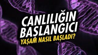 Canlılığın Başlangıcı Nasıl ve Ne Zaman?