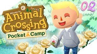 Tulip Garden  Animal Crossing Pocket Camp 2