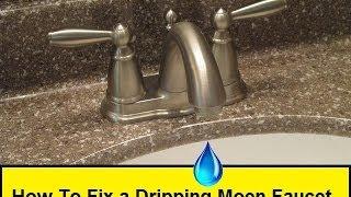 How To Fix a Dripping Moen Faucet HowToLou.com