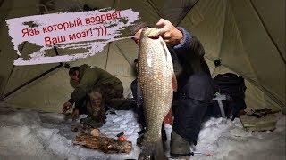 Рыбалка Язь который взорвет Ваш мозг Якутия Yakutia