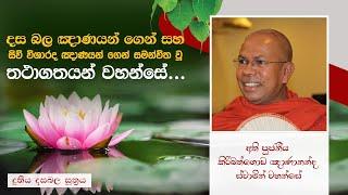 දස බල ඤාණයන්ගෙන් සහ සිව් විශාරද ඤාණයන් ගෙන් සමන්විත වූ තථාගතයන් වහන්සේ  දුතිය දසබල සූත්‍රය