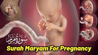 Surah Maryam For Pregnancy Beautiful Recitation For a Beautiful Baby