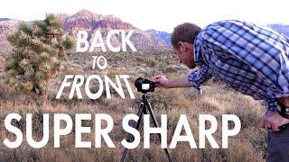 Tips for Sharp Landscape Photos in ONE SHOT