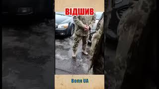 Відшив ТЦК на Підставі Статті 29 Конституції України  Воля UA