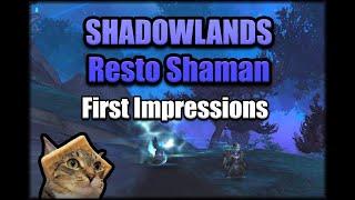 How Does Resto Shaman Feel in Shadowlands Beta?