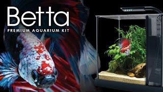 Fluval Betta Kit  Overview