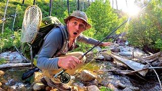 Trout Fishing a TINY Mountain River RATTLESNAKE ENCOUNTER