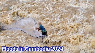 Floods in Cambodia 2024-ទឹកជំនន់ឡើងកាន់តែខ្លាំងហើយ អាណិតអ្នកស្រែណាស់
