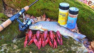 Trout & Crawfish Catch n Cook at Remote Mountain Waterfalls