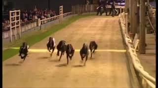 Westmead Hawk - English Derby Final 2006