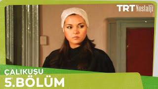 Çalıkuşu 5. Bölüm