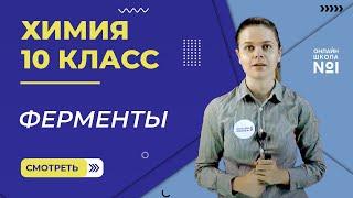 Ферменты. Урок 31. Химия 10 класс