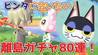 【あつ森】ビンタが欲しい！住民厳選、離島ガチャ80連で2度目の奇跡は起きるのか！？