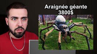 Jai ACHETÉ une ARAIGNÉE INTERDITE sur le DARKNET dans la VRAIE VIE   Je ne mattendais pas à ça…