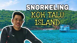SNORKELING AT KOH TALU ISLAND  VLOG #17  WIN KILING 