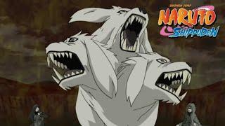 Kiba And Akamaru  Human Beast Combination Transformation  Three - Headed Wolf