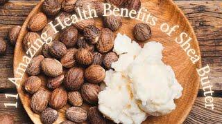 11 Amazing Health Benefits of Shea Butter