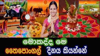 What Is The Pongal Day - Thai Pongal Of Hindu