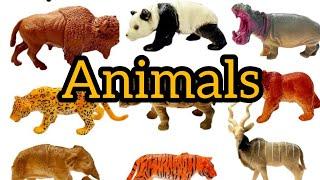 animals name in tamil and english with picture விலங்குகளின் பெயர்spelling practice