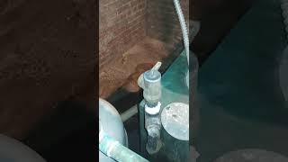 Failed Expansion Tank & Improper Safety Relief Valve