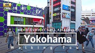 4KBinaural Yokohama Early Summer Late Afternoon Walking Tour - Kanagawa Japan