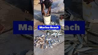 MARINA BEACH ️ Worlds 2nd Longest Beach in Chennai 