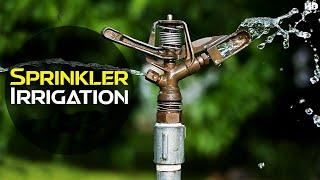 Sprinkler Irrigation System - How Does It Works...  Discover Agriculture