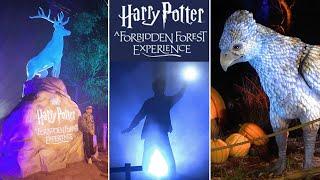 We visited the Harry Potter Forbidden Forest Experience Attraction in Melbourne