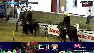 66º FERIA EXPOSICION EQUINA GRADO A TULUA - DIA 1 - TROCHA Y GALOPEPASO FINO COLOMBIANO