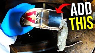 EASY RAT TRAP HACKS THAT WORK Catch MORE rats FASTER...